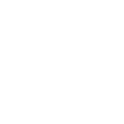 Advanced HINO Software | Mecaprograms.com