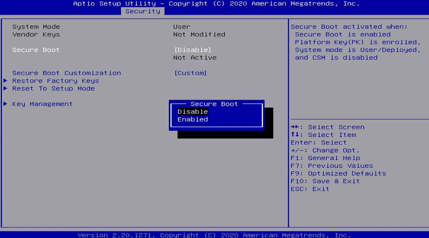 BIOS Secure Boot